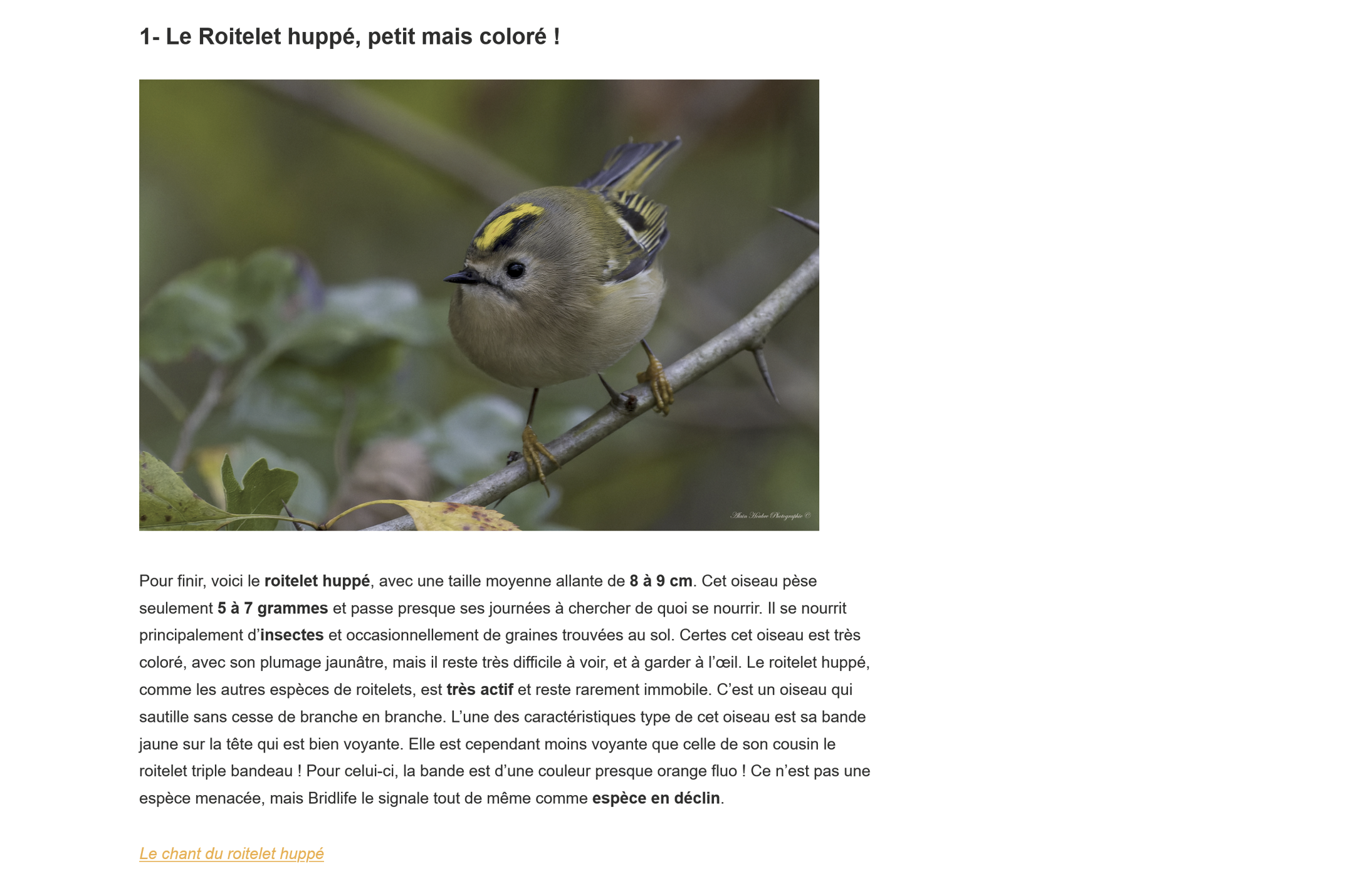Blog 6